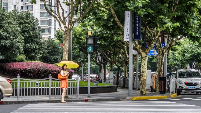 Umbrella girl hails a taxi
